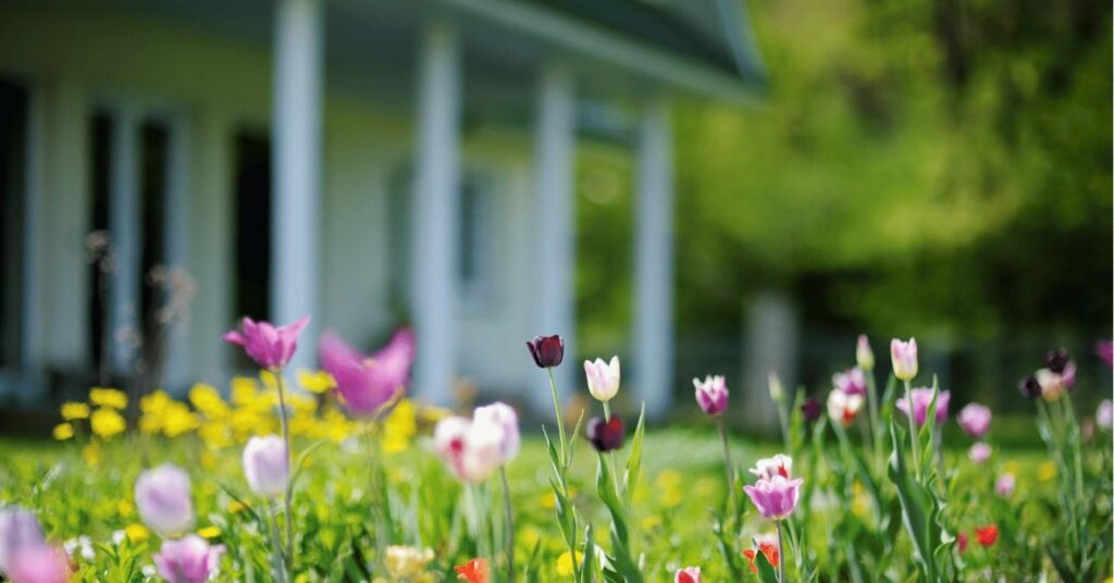 március front előrejelzés