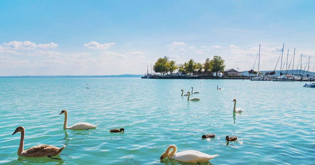 Balaton