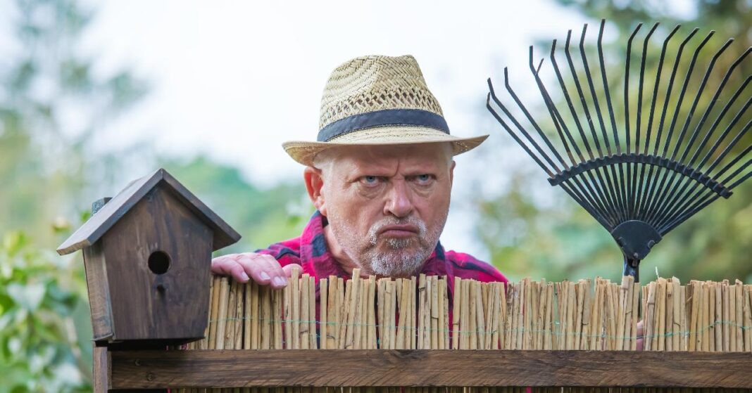 dühös, idősebb szomszéd férfi szalmakalappal a fején, gereblyét fogva bámul a kerítésen túlról