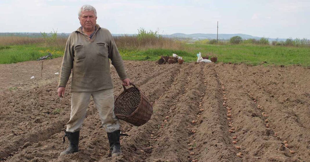 Őstermelő, földműves a szántásban
