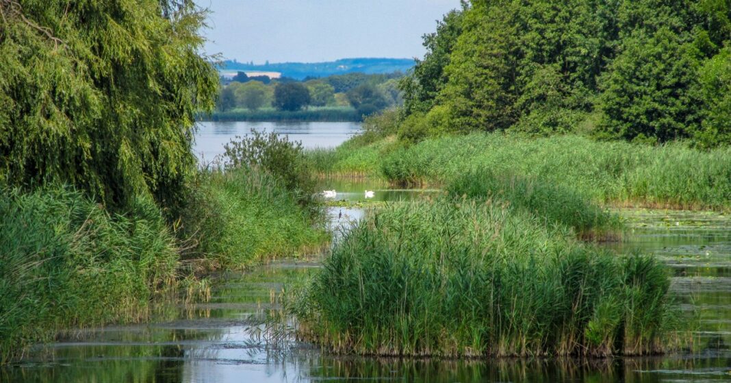 Kis-Balaton