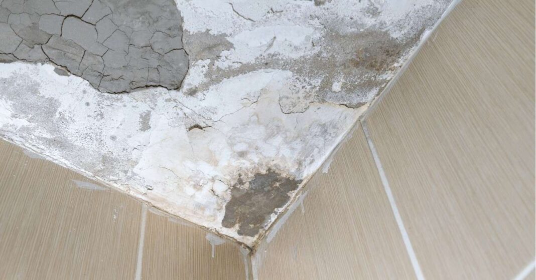 panel beázás felső szomszéd